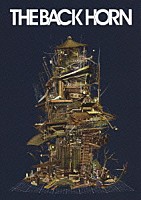 ザ・バックホーン「 ＫＹＯ－ＭＥＩツアー～リヴスコール～　ａｔ　日本武道館　２０１３．１．６」