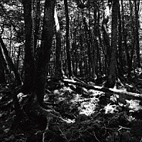 東京酒吐座「 ｔｕｒｎａｒｏｕｎｄ」