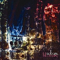 藍坊主 「ブルーメリー」