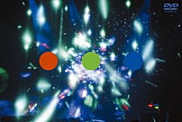 フジファブリック 「ＦＡＢ　ＬｉＶＥ　～ＦＵＪｉＦＡＢＲｉＣ　ＺＥＰＰ　ＴＯＵＲ　２０１２　“Ｌｉｇｈｔ　Ｆｌｉｇｈｔ”～」