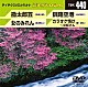 （カラオケ） 北島三郎 北川裕二 山内惠介 蒼彦太「音多Ｓｔａｔｉｏｎ」