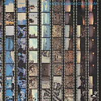 ザ・タイガース「 ザ・タイガース・サウンズ・イン・コロシアム」