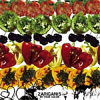 ＺＡＲＩＧＡＮＩ　５「 ＢＹ　ＹＯＵＲ　ＣＯＬＯＲ」