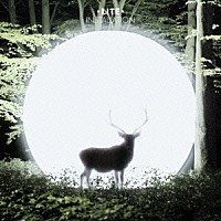 ＬＩＴＥ「 Ｉｎｓｔａｌｌａｔｉｏｎ」