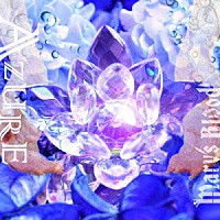 メアリーブラッド アジュール Nsmb 2 Shopping Billboard Japan