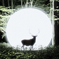 ＬＩＴＥ 「Ｉｎｓｔａｌｌａｔｉｏｎ」