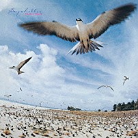 高中正義 「ＳＥＹＣＨＥＬＬＥＳ」