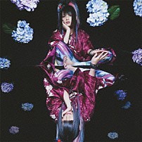 ピコ 「言ノ葉」