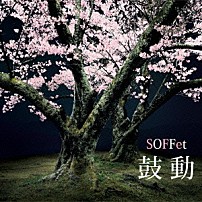 ＳＯＦＦｅｔ 「鼓動」
