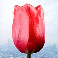 ｆｌｕｍｐｏｏｌ 「大切なものは君以外に見当たらなくて／微熱リフレイン」