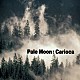 カリオカ「Ｐａｌｅ　Ｍｏｏｎ」