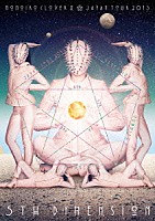 ももいろクローバーＺ「 ＭＯＭＯＩＲＯ　ＣＬＯＶＥＲ　Ｚ　ＪＡＰＡＮ　ＴＯＵＲ　２０１３　５ＴＨ　ＤＩＭＥＮＳＩＯＮ」