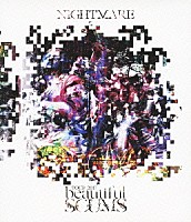 ＮＩＧＨＴＭＡＲＥ「 ＮＩＧＨＴＭＡＲＥ　ＴＯＵＲ　２０１３　「ｂｅａｕｔｉｆｕｌ　ＳＣＵＭＳ」」