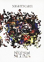 ＮＩＧＨＴＭＡＲＥ「 ＮＩＧＨＴＭＡＲＥ　ＴＯＵＲ　２０１３　「ｂｅａｕｔｉｆｕｌ　ＳＣＵＭＳ」」