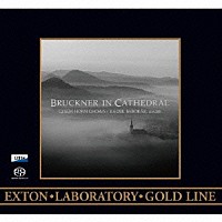 ラデク・バボラーク アレシュ・バールタ チェコ・ホルン・コーラス「 ブルックナー・イン・カテドラル　－天上の音楽－」