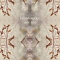 ｍ：ａ．ｔｕｒｅ「 Ｋａｌｅｉｄｏｓｃｏｐｅ」
