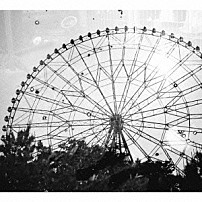 森は生きている 「森は生きている」