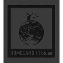 ｔａｃｉｃａ 「ＨＯＭＥＬＡＮＤ　１１　ｂｌｕｅｓ」