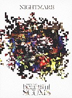 ＮＩＧＨＴＭＡＲＥ「 ＮＩＧＨＴＭＡＲＥ　ＴＯＵＲ　２０１３　「ｂｅａｕｔｉｆｕｌ　ＳＣＵＭＳ」」