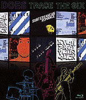 ＤＯＥＳ「 ＴＲＡＣＥ　ＴＨＥ　ＳＩＸ」