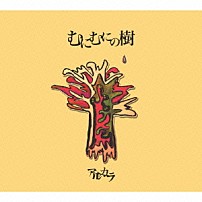 アルカラ 「むにむにの樹」