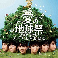 チームしゃちほこ 「愛の地球祭」