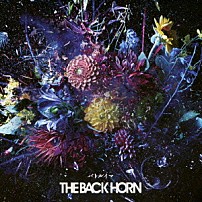ＴＨＥ　ＢＡＣＫ　ＨＯＲＮ 「バトルイマ」