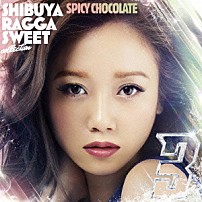 ＳＰＩＣＹ　ＣＨＯＣＯＬＡＴＥ 「渋谷　ＲＡＧＧＡ　ＳＷＥＥＴ　ＣＯＬＬＥＣＴＩＯＮ　３」