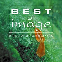 （Ｖ．Ａ．） カール・ジェンキンズ 鳥山雄司 葉加瀬太郎 大島ミチル　ｆｅａｔ．宮本文昭 ロドリーゴ・レアン＆ヴォックス・アンサンブル ウェイウェイ・ウー　ｆｅａｔ．鳥山雄司＆武部聡志 ヨーヨー・マ「ベスト・オブ・イマージュ　エモーショナル・アンド・リラクシング」