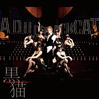 Ａｃｉｄ　Ｂｌａｃｋ　Ｃｈｅｒｒｙ「 黒猫　～Ａｄｕｌｔ　Ｂｌａｃｋ　Ｃａｔ～」