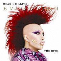 デッド・オア・アライヴ「 エヴォリューション～グレイテスト・ヒッツ」