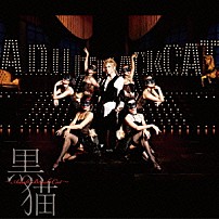 Ａｃｉｄ　Ｂｌａｃｋ　Ｃｈｅｒｒｙ 「黒猫　～Ａｄｕｌｔ　Ｂｌａｃｋ　Ｃａｔ～」