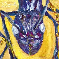 藍坊主 「Ｓ／Ｎｏｒｍａｌｌｙ」