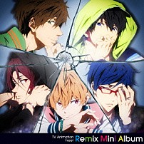 ＳＴＹＬＥ　ＦＩＶＥ 「ＴＶ　Ａｎｉｍａｔｉｏｎ　Ｆｒｅｅ！　Ｒｅｍｉｘ　Ｍｉｎｉ　Ａｌｂｕｍ」