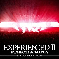 ブンブンサテライツ 「ＥＸＰＥＲＩＥＮＣＥＤⅡ－ＥＭＢＲＡＣＥ　ＴＯＵＲ　２０１３　武道館－」