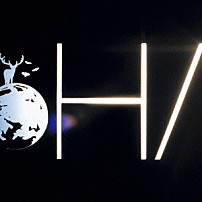 ｔａｃｉｃａ 「ＨＡＬＯ」