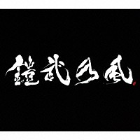 鎧武乃風「 ＪＵＳＴ　ＬＩＶＥ　ＭＯＲＥ　特装版」