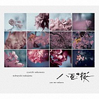 坂本龍一・中島ノブユキ「 ＮＨＫ大河ドラマ　オリジナル・サウンドトラック　コンプリート盤　「八重の桜」」