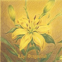 Ｄｒａｇｏｎ　Ａｓｈ 「Ｌｉｌｙ」