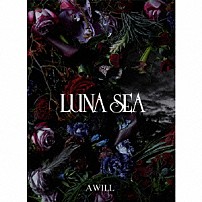 ＬＵＮＡ　ＳＥＡ 「Ａ　ＷＩＬＬ」