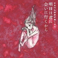 それでも世界が続くなら 「明日は君に会いに行くから」