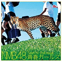 ＮＭＢ４８ 「Ｔｅａｍ　Ｎ　２ｎｄ　ｓｔａｇｅ　青春ガールズ」