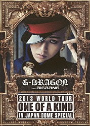 Ｇ－ＤＲＡＧＯＮ（ｆｒｏｍ　ＢＩＧＢＡＮＧ）「Ｇ－ＤＲＡＧＯＮ　２０１３　ＷＯＲＬＤ　ＴＯＵＲ　ＯＮＥ　ＯＦ　Ａ　ＫＩＮＤ　ＩＮ　ＪＡＰＡＮ　ＤＯＭＥ　ＳＰＥＣＩＡＬ」