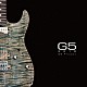 Ｇ５　Ｐｒｏｊｅｃｔ「Ｇ５　２０１３」