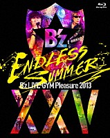 Ｂ’ｚ「 Ｂ’ｚ　ＬＩＶＥ－ＧＹＭ　Ｐｌｅａｓｕｒｅ　２０１３　ＥＮＤＬＥＳＳ　ＳＵＭＭＥＲ　－ⅩⅩⅤ　ＢＥＳＴ－」