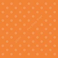 ペット・ショップ・ボーイズ「 ヴェリー」