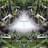 ザ・バックホーン 「シンメトリー／コワレモノ」