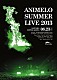 （Ｖ．Ａ．） アイドルマスターシンデレラガールズ ＺＡＱ ｅａｒｔｈｍｉｎｄ 串田アキラ 鈴木このみ ＡＬＩ　ＰＲＯＪＥＣＴ 茅原実里「Ａｎｉｍｅｌｏ　Ｓｕｍｍｅｒ　Ｌｉｖｅ　２０１３　ＦＬＡＧ　ＮＩＮＥ　８．２３」