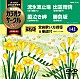 （カラオケ） 市川由紀乃 花咲ゆき美 多岐川舞子 永井裕子「超厳選　カラオケサークルＷ　ベスト４」