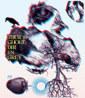 ＤＩＲ　ＥＮ　ＧＲＥＹ「 ＴＯＵＲ１３　ＧＨＯＵＬ」